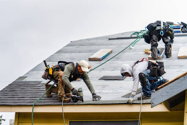 Professional Emergency Roof Repair technician working in Amston, CT